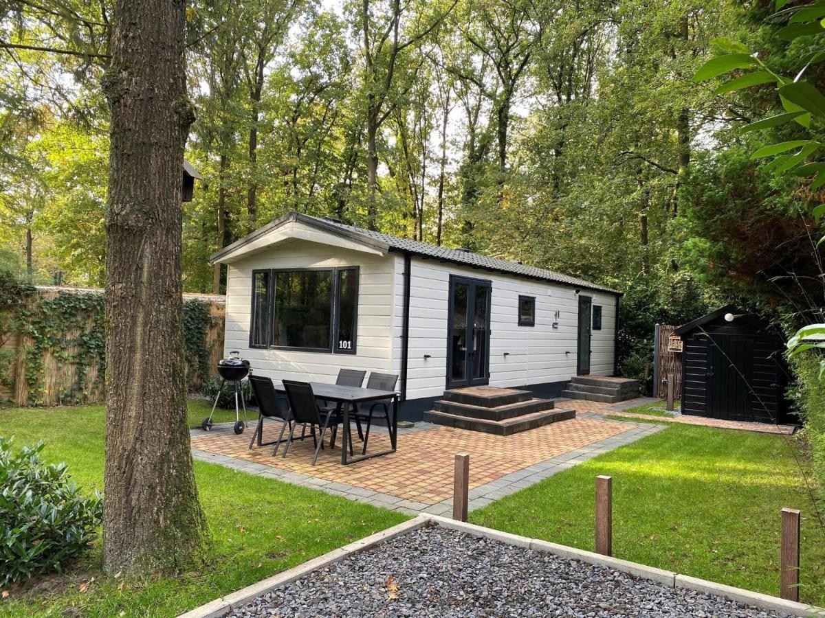 Beautiful Chalet In The Woods With A Shared Pool Vledder Dış mekan fotoğraf